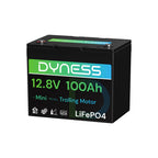 Dynesspower 12V 100Ah| LiFePO4 Lithium | Deep Cycle Battery | IP65