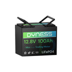 Dynesspower 12V 100Ah| LiFePO4 Lithium | Deep Cycle Battery | IP65