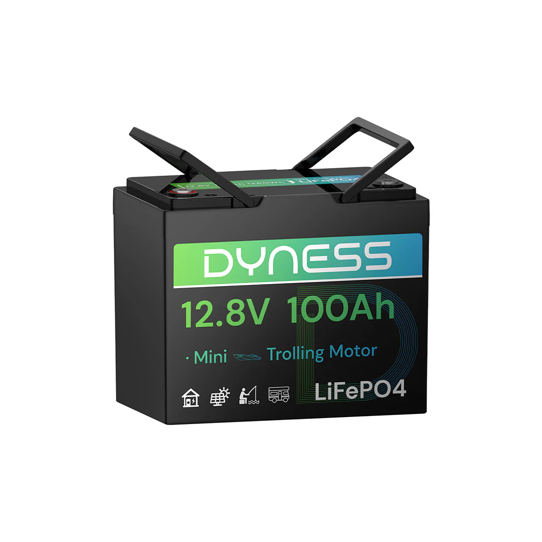 Dynesspower 12V 100Ah| LiFePO4 Lithium | Deep Cycle Battery | IP65