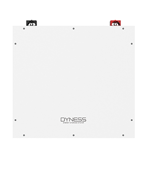 Dyness DL5.0C 5.12kWh | 51.2V 100 Ah | 6000 Cycles | LifePo4