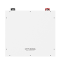 Dyness DL5.0C 5.12kWh | 51.2V 100 Ah | 6000 Cycles | LifePo4