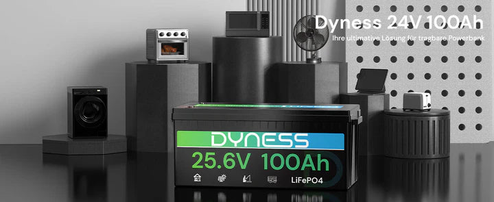 Dynesspower 24V 100Ah LiFePO4 Battery